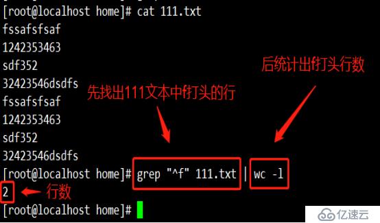 Linux目录、查看及压缩命令（cat、more等等）