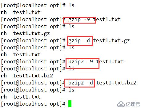 Linux目录与文件操作的示例分析