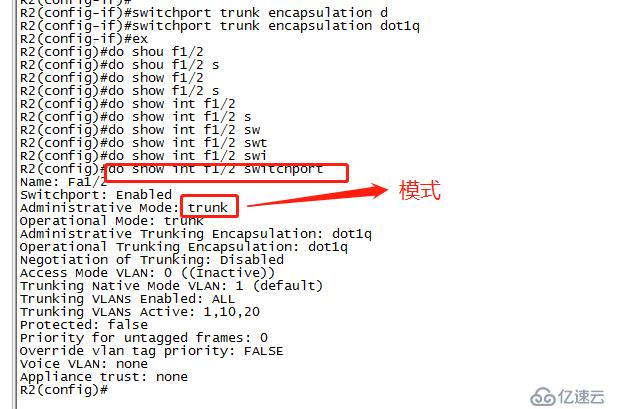 trunk简单应用