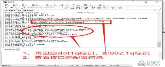 通过Trunk链路实现跨VLAN的通信