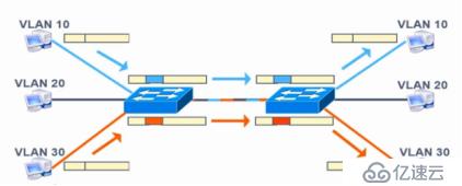 VLAN、Trunk、三層交換機(jī)（劃重點(diǎn)，要考）