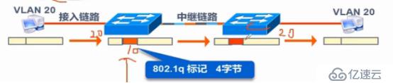 VLAN、Trunk、三层交换机（划重点，要考）