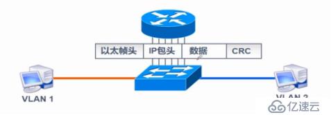 VLAN、Trunk、三层交换机（划重点，要考）