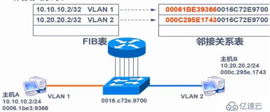 VLAN、Trunk、三層交換機(jī)（劃重點(diǎn)，要考）