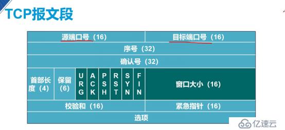 传输层的协议（小白必备干货）