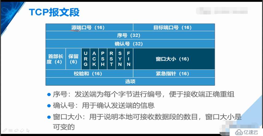 传输层协议详细介绍（重点4，网络小白必备知识）