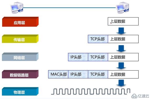 OSI参考模型（小白入门基础）