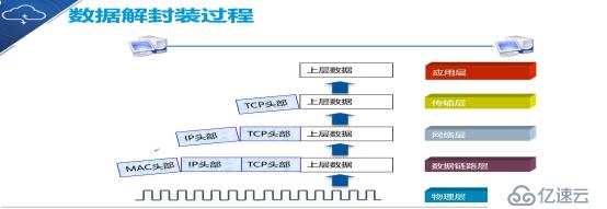 OSI参考模型（小白入门基础）