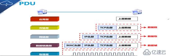 OSI参考模型（小白入门基础）