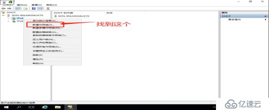 DNS+Web+DHCP服务架构