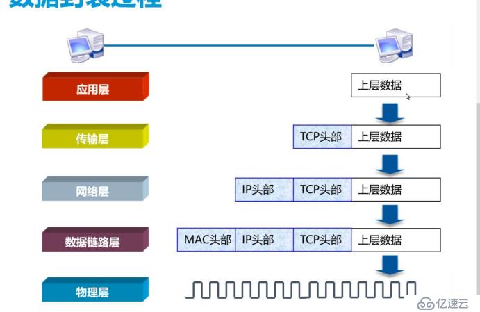 网络基础七层原理（重点1，网络小白必备知识）