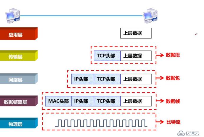 网络基础七层原理（重点1，网络小白必备知识）