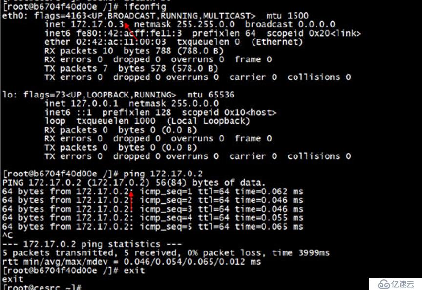 初学Docker容器网络不得不看的学习笔记