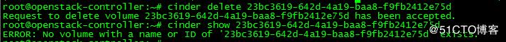 OpenStack实践(八):Unable to delete specified volumes