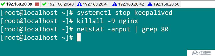 群集架构篇  ——nginx反向代理+keepalived双机热备+tomcat服务器池+后端数据库