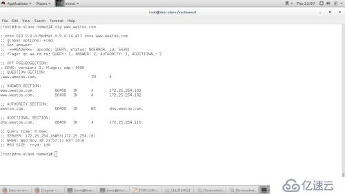 dns,mariadb.邮件服务