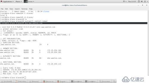 dns,mariadb.邮件服务