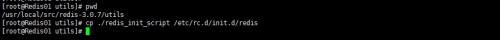 Redis（二）：Redis的安装及配置（2）---设置启动信息
