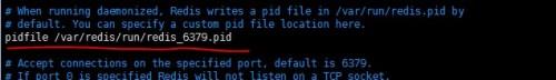Redis（二）：Redis的安装及配置（2）---设置启动信息