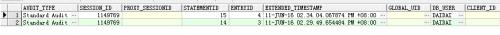 Audit by access VS by session