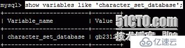 mysql數(shù)據(jù)庫編碼