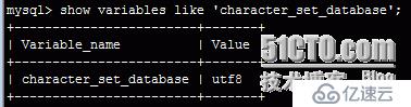 mysql數(shù)據(jù)庫編碼