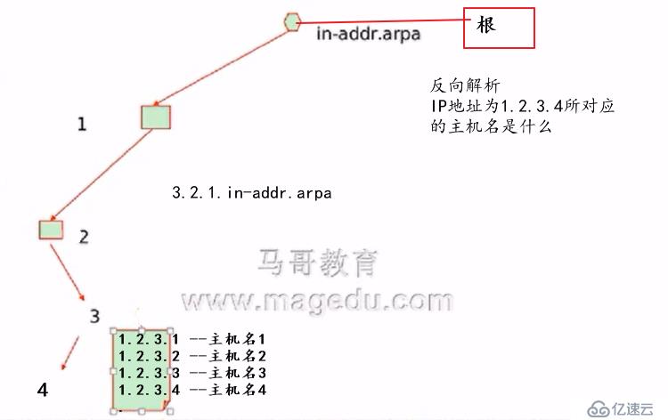 DNS服务正向、反向解析区域，主/从区域数据库复制，子域授权及基本安全控制