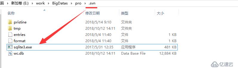 svn无法cleanup常见解决方案