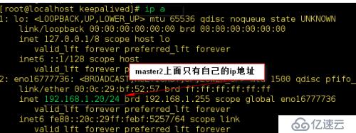  MySQL数据库--主主复制+keepalived高可用