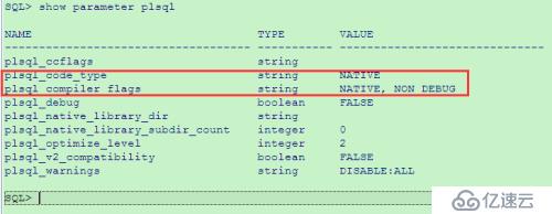 PLS-00920: parameter plsql_native_library_dir is not set