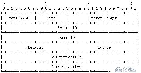 OSPF報(bào)文詳解