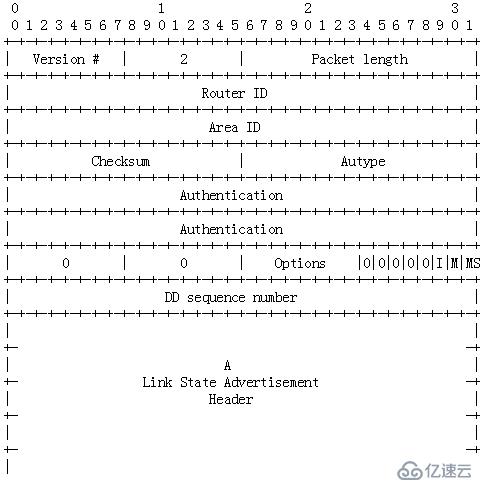 OSPF报文详解