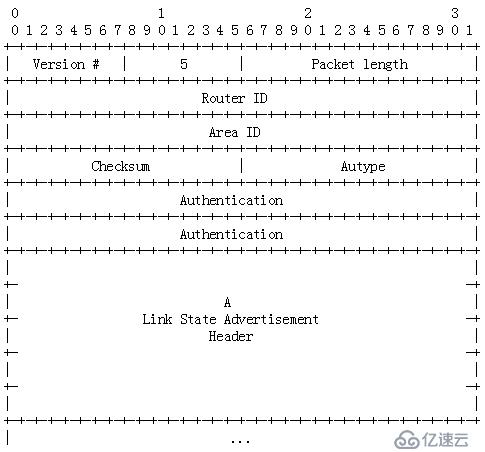 OSPF報(bào)文詳解