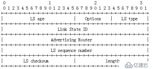 OSPF报文详解