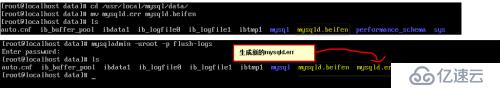 mysql数据库的特性以及参数性能