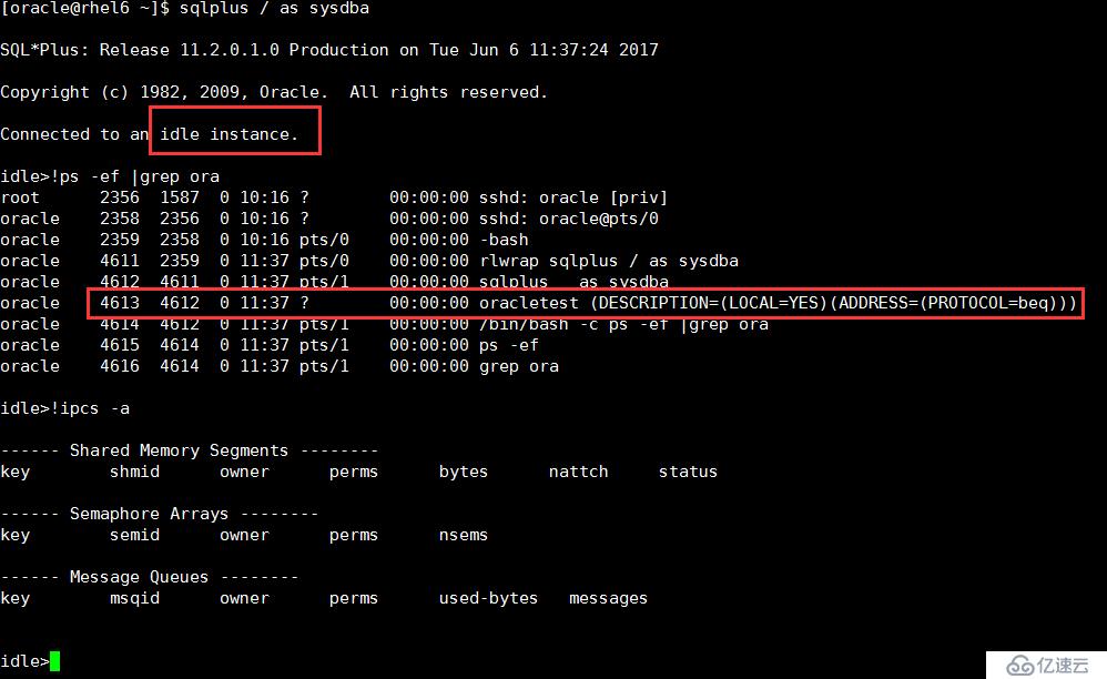 Oracle数据库启动和关闭