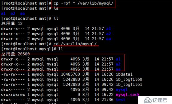 mysql数据库多种备份及读写分离搭建