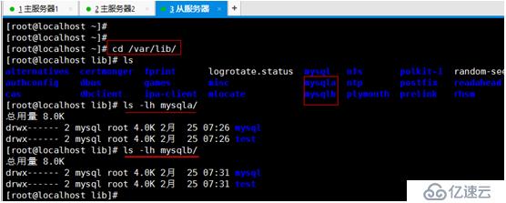 mysql数据库多种备份及读写分离搭建