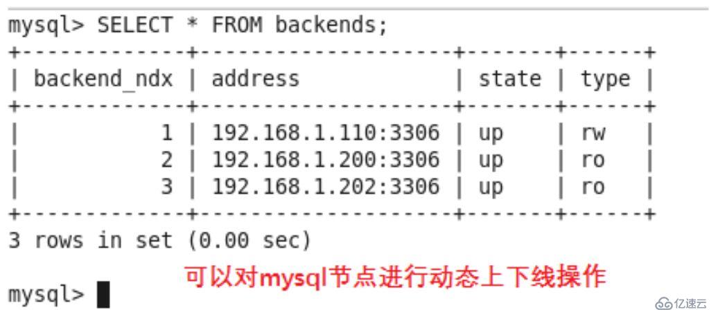 从零开始部署一个atlas-mysql基本架构