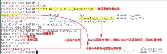 MySQL：常用备份方式（基于5.7）