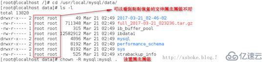 MySQL：常用备份方式（基于5.7）