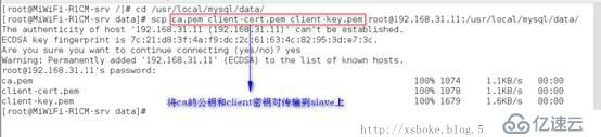 MySQL：安装和基于SSL加密的主从复制（基于5.7）