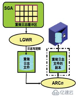 oracle 各种文件的作用