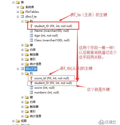 区分关系行数据库的主表和从表