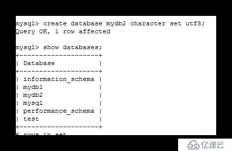 快速了解MySQL的一些基本知识