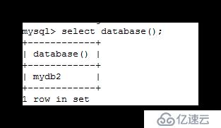 快速了解MySQL的一些基本知识