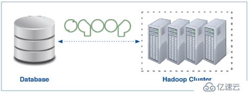 sqoop导入关系型数据库-解密Sqoop