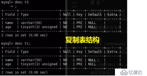 MySQL数据库及表的管理