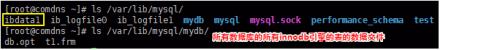 MySQL数据库及表的管理