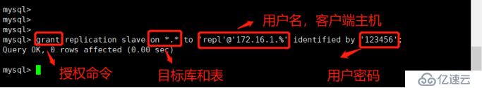 mysql主从库如何配置及操作